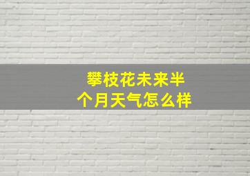 攀枝花未来半个月天气怎么样