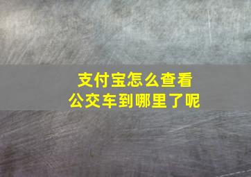 支付宝怎么查看公交车到哪里了呢