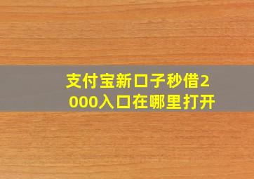 支付宝新口子秒借2000入口在哪里打开