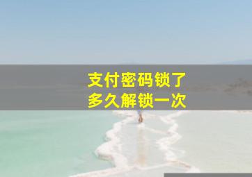 支付密码锁了多久解锁一次