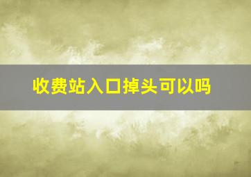 收费站入口掉头可以吗