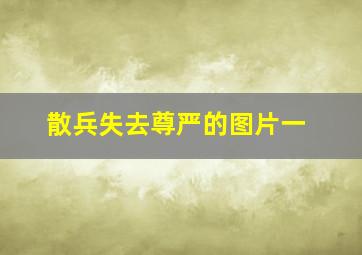 散兵失去尊严的图片一