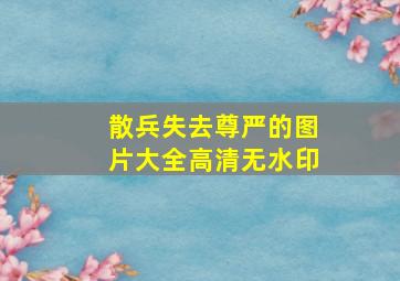 散兵失去尊严的图片大全高清无水印