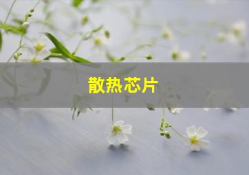 散热芯片