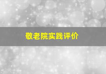 敬老院实践评价