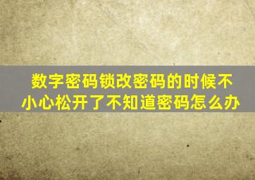 数字密码锁改密码的时候不小心松开了不知道密码怎么办