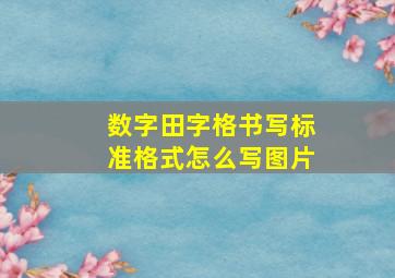 数字田字格书写标准格式怎么写图片