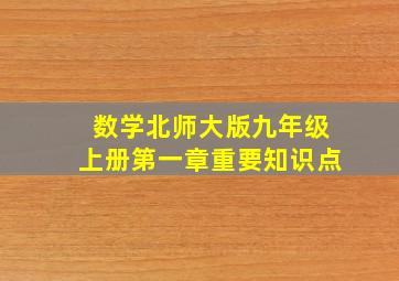 数学北师大版九年级上册第一章重要知识点