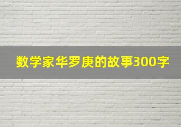 数学家华罗庚的故事300字