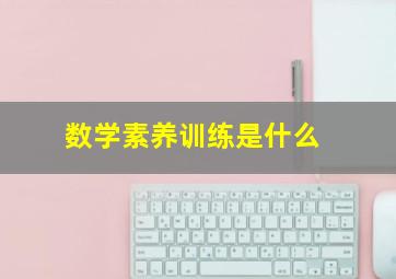 数学素养训练是什么