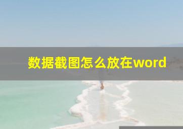 数据截图怎么放在word