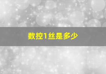 数控1丝是多少