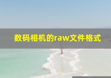 数码相机的raw文件格式