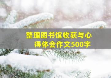 整理图书馆收获与心得体会作文500字