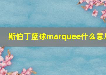 斯伯丁篮球marquee什么意思