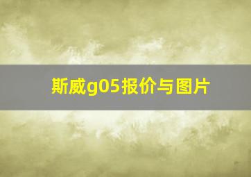 斯威g05报价与图片