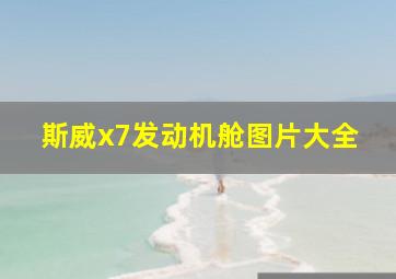 斯威x7发动机舱图片大全