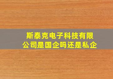 斯泰克电子科技有限公司是国企吗还是私企