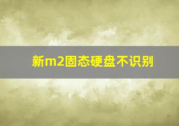 新m2固态硬盘不识别