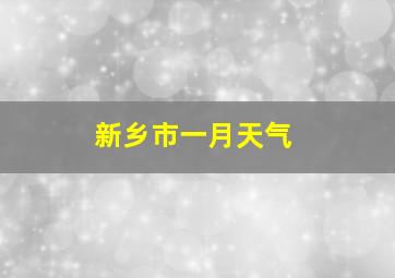 新乡市一月天气