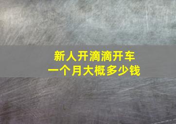 新人开滴滴开车一个月大概多少钱