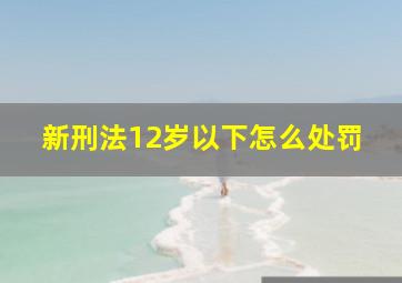 新刑法12岁以下怎么处罚