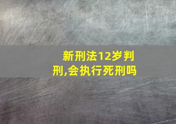 新刑法12岁判刑,会执行死刑吗