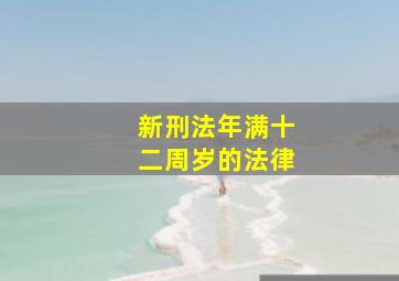 新刑法年满十二周岁的法律