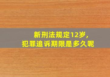 新刑法规定12岁,犯罪追诉期限是多久呢