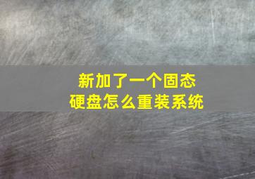 新加了一个固态硬盘怎么重装系统