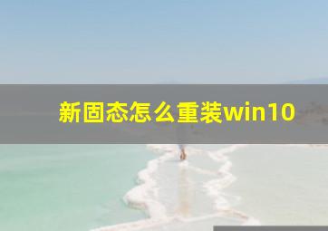 新固态怎么重装win10