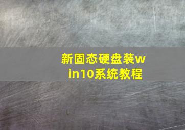 新固态硬盘装win10系统教程