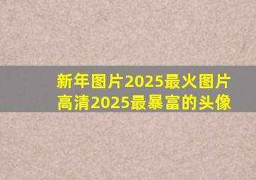 新年图片2025最火图片高清2025最暴富的头像