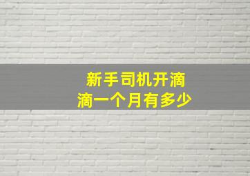 新手司机开滴滴一个月有多少