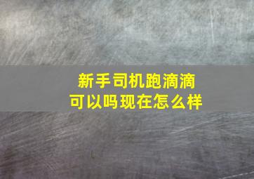 新手司机跑滴滴可以吗现在怎么样