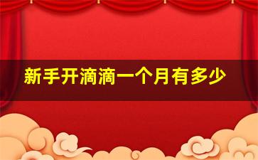 新手开滴滴一个月有多少