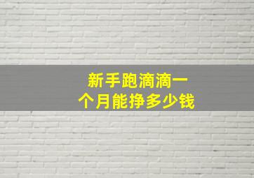 新手跑滴滴一个月能挣多少钱