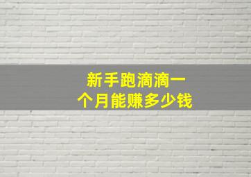 新手跑滴滴一个月能赚多少钱