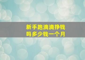 新手跑滴滴挣钱吗多少钱一个月