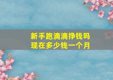 新手跑滴滴挣钱吗现在多少钱一个月