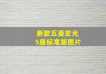 新款五菱宏光5座标准版图片