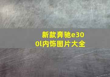 新款奔驰e300l内饰图片大全