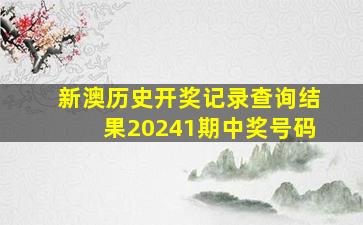 新澳历史开奖记录查询结果20241期中奖号码