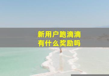 新用户跑滴滴有什么奖励吗