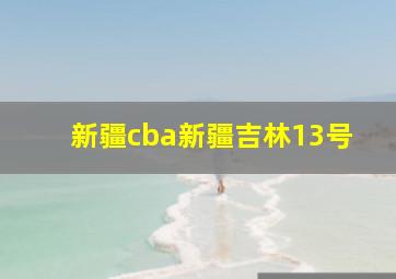 新疆cba新疆吉林13号