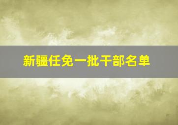 新疆任免一批干部名单