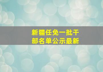 新疆任免一批干部名单公示最新