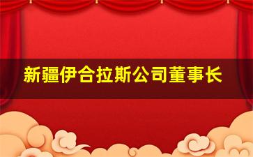 新疆伊合拉斯公司董事长