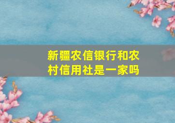 新疆农信银行和农村信用社是一家吗