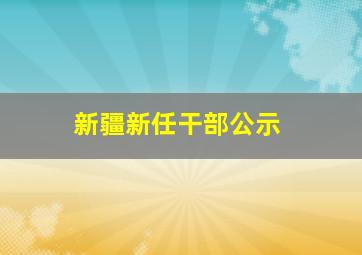 新疆新任干部公示